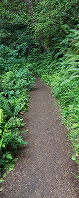 Oregon Coast Trail, Ecola State Park thumbnail
