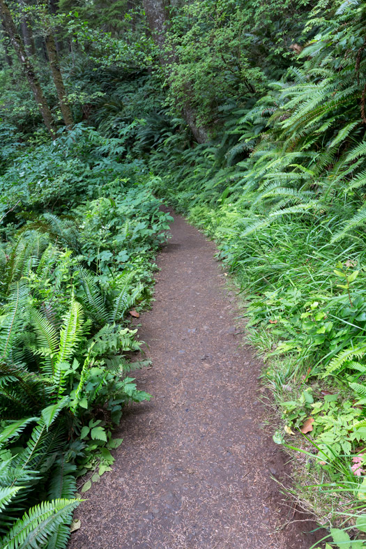 Oregon Coast Trail, Ecola State Park, Oregon