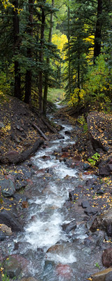 San Miguel River Trail stream thumbnail