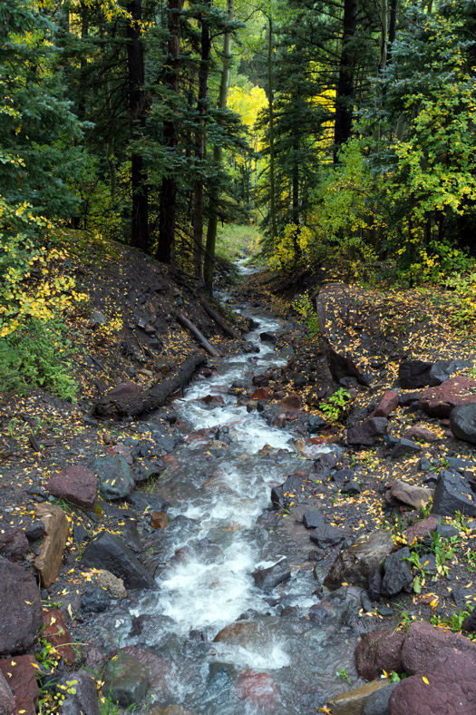 Stream along San Miguel River Trail in Telluride, Colorado