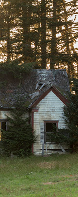 Abandoned house at Stewarts Point, California thumbnail